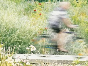 Fahrradfahrer auf schmalem Steg in Wiese