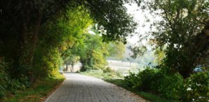 gepflasteter Uferweg zwischen Bäumen und Sträuchern