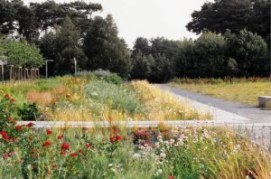 bunte Stauden und Gräserpflanzung mit geradem Weg aus Granit und Kies vor Wald