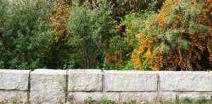 Sanddornpflanzung hinter Ufermauer aus Granit