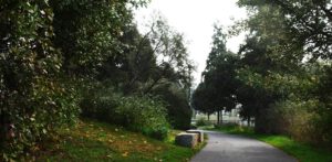 Granitblöcken als Bänke am geschwungenenUferweg zwischen naturnaher Uferbepflanzung
