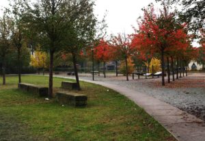 geschwungener Weg aus großformatigen Granitplatten zwischen linear angeordnetem Zierbirnenhain auf Rasen mit Sitzblöcken und auf wassergebundener Wegedecke