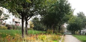 Uferweg mit Kirschbäumen und Stauden/Gräserbepflanzung zwischen Wohnblocks und Wiesen